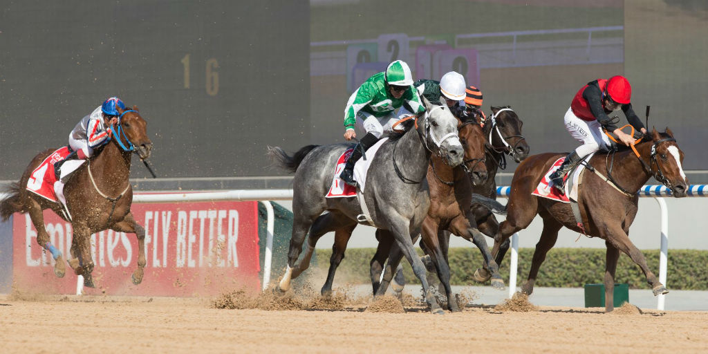 2020 Dubai World Cup Carnival dates confirmed Horse racing in Dubai
