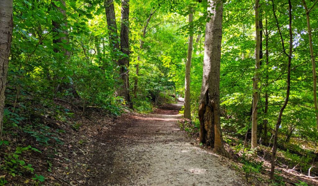 Fairmount Park Boxer’s Trail (Image: Fairmount Park Conservancy)