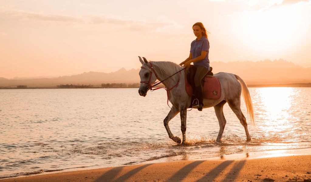Horse riding in Somabay destination resort, Red Sea, Egypt