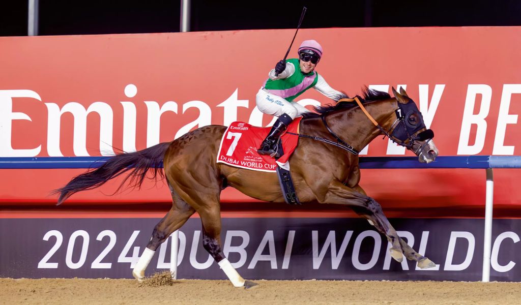 Laurel River and jockey Tadhg O'Shea won the Dubai World Cup in 2024 (Image credit: © Dubai Racing Club)